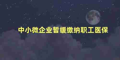 中小微企业暂缓缴纳职工医保怎么办(中小微企业暂缓缴纳职工医保政策)